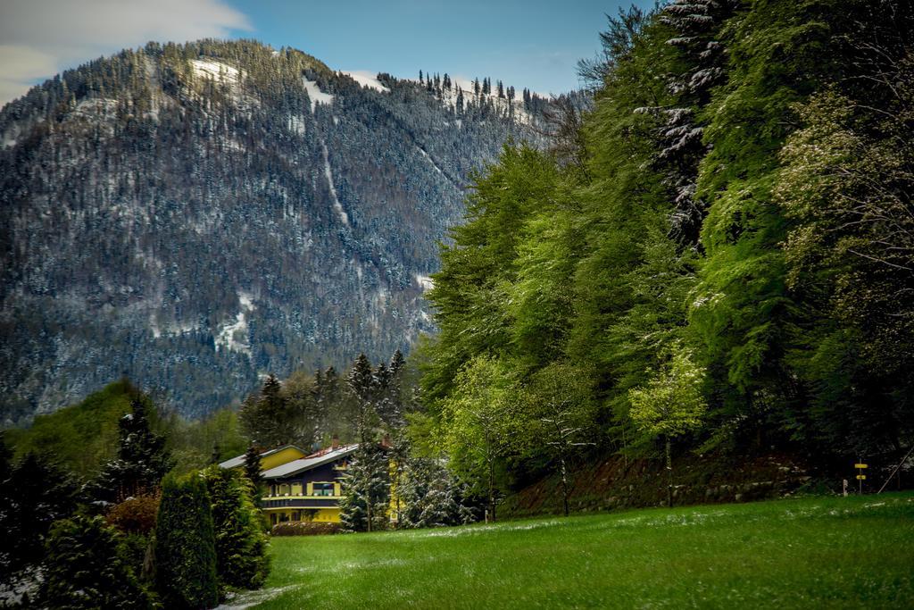 Hotel Garni Zeranka Ruhpolding Esterno foto